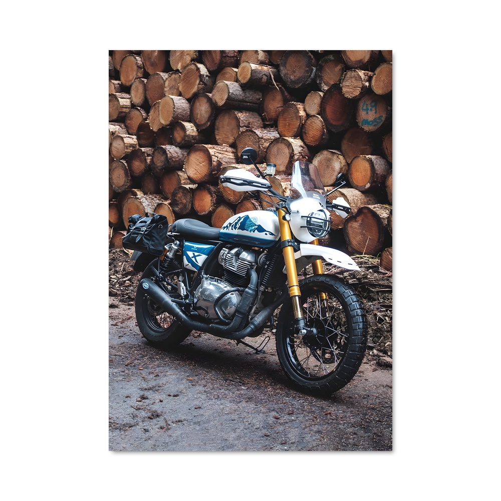 Poster Riders of the Timber